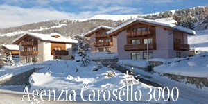 Agenzia Carosello 3000 logo