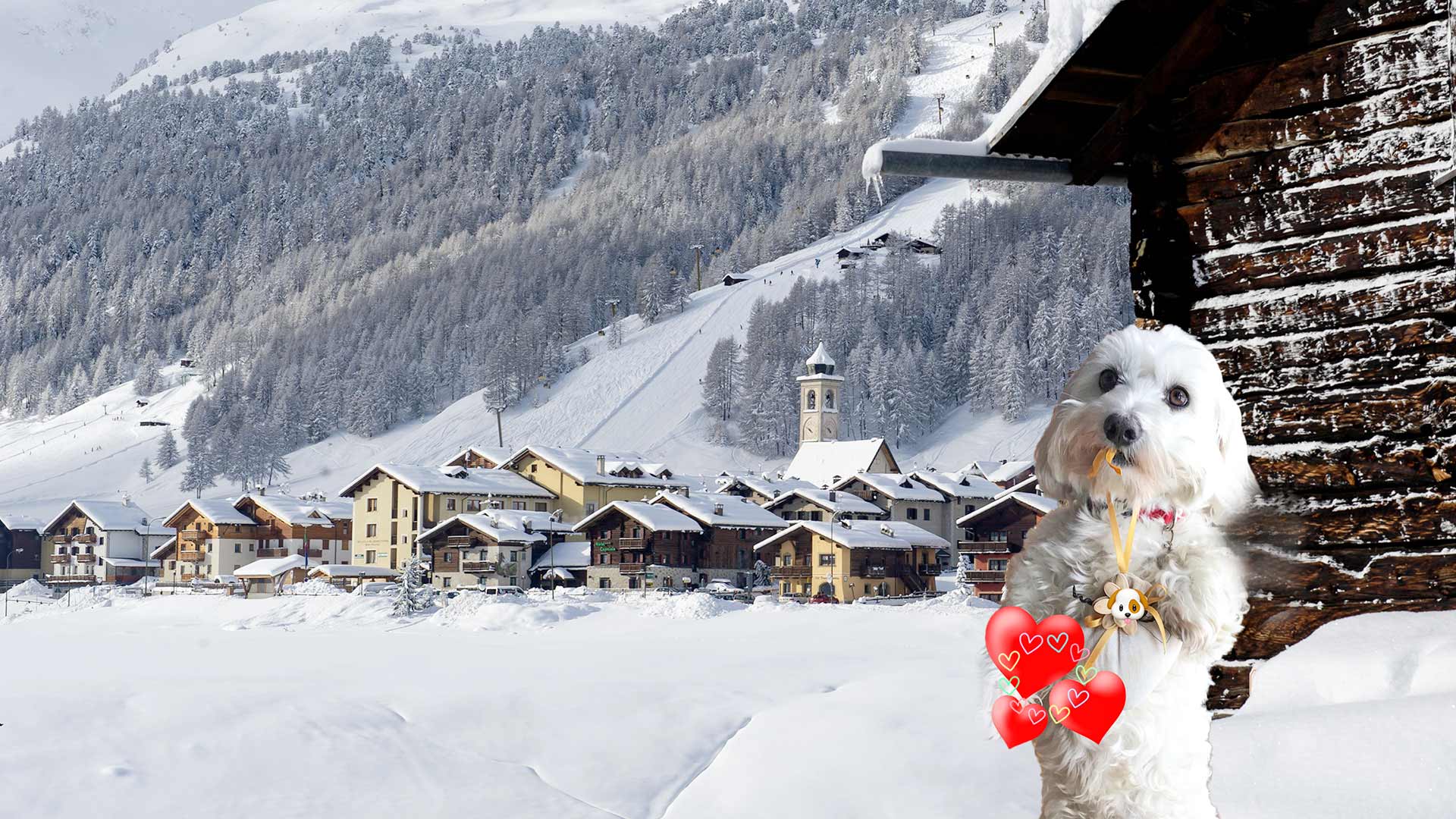 Livigno Appartamenti